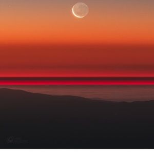 Meet your Posher, Ella